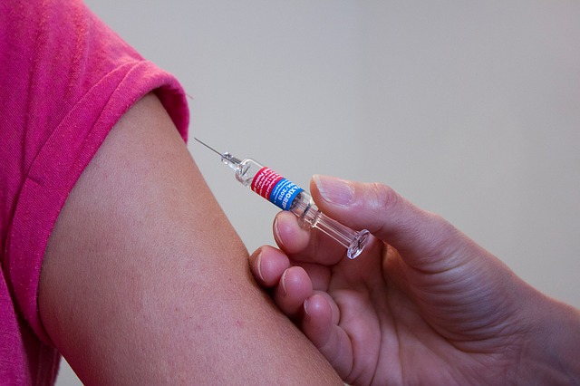 Očkování do Egypta